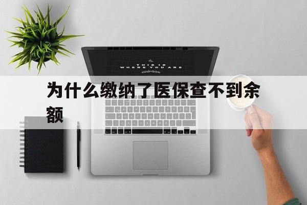 天津最新为什么缴纳了医保查不到余额方法分析(最方便真实的天津医保交了费怎么查不到方法)